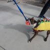 Large Dog Tug Toy dog with taco suit