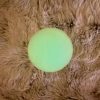 Small Dog Training Toy glow in the dark
