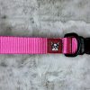 solid 1" dog collar pink top