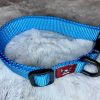 solid 1" dog collar blue