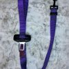 Dog Seat Belt - purple
