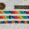 1" Standard Bungee Dog Leash rainbow with wood logo